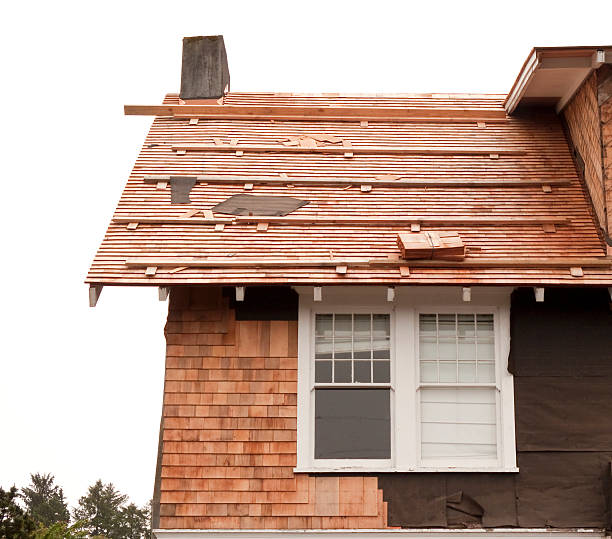 Affordable Siding Repair and Maintenance Services in Minot Af, ND